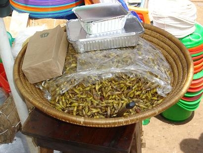 kampala gefrituurde sprinkhanen